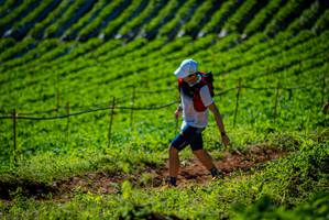 BIB: 
                            <button type="button" onclick="openModal(19161327)" class="btn btn-primary btn-sm float-right btn-popup" data-toggle="modal" data-target=".modal-high-quality">
                        <i class="fas fa-shopping-cart"></i> Add to Cart
                    </button>
                                            <button type="button" onclick="isThisMe(19161327, true)" class="btn btn-success btn-sm float-right btn-popup btn-isme hidden" data-toggle="tooltip" data-placement="bottom" title="นี่คือรูปของคุณใช่ไหม คลิกที่นี่เพื่อเอาเข้าอัลบั้ม">
                        <i class="fas fa-plus"></i> Add to album
                    </button>
                    <button type="button" onclick="isThisMe(19161327, false)" class="btn btn-warning btn-sm float-right btn-popup btn-isnotme hidden">
                        <i class="fas fa-ban"></i> Remove from album
                    </button>